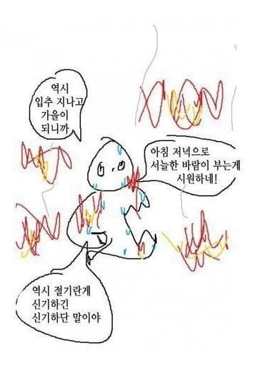 입추 지난 기념 커버낫 역시즌  86% 세일+다운류 3만원대
