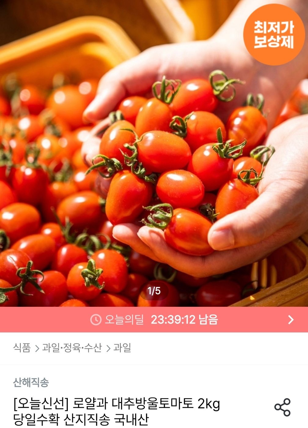 1755530655716.jpg [오늘의집] 대추방울토마토 2kg 로얄과 1-2번 (7,115원) (무료)