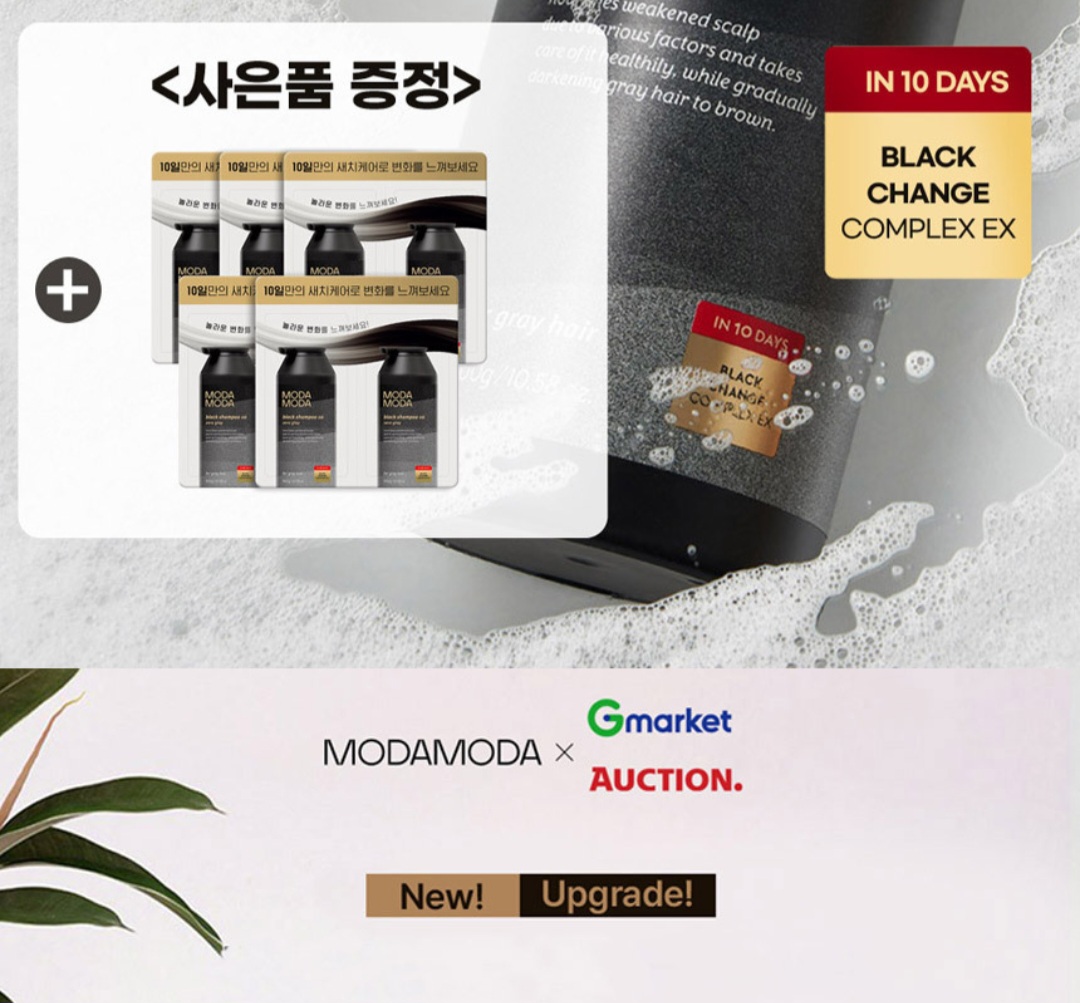퀘이사존