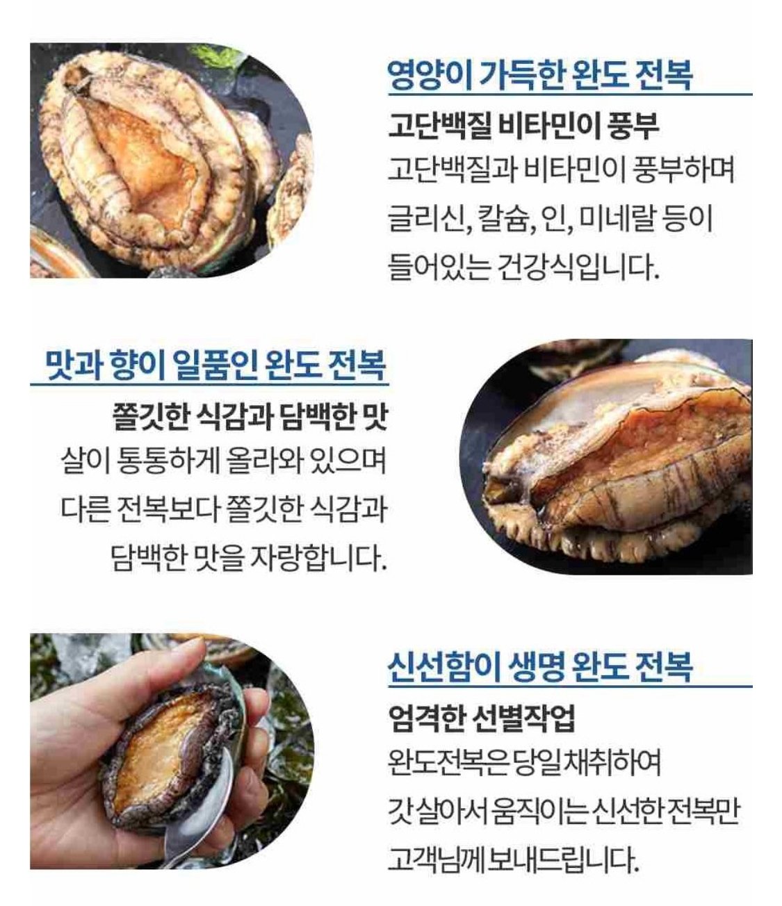 IMG_1116.jpeg [남도장터] 완도 활전복 12-14미 1kg (12,720원) (무료)
