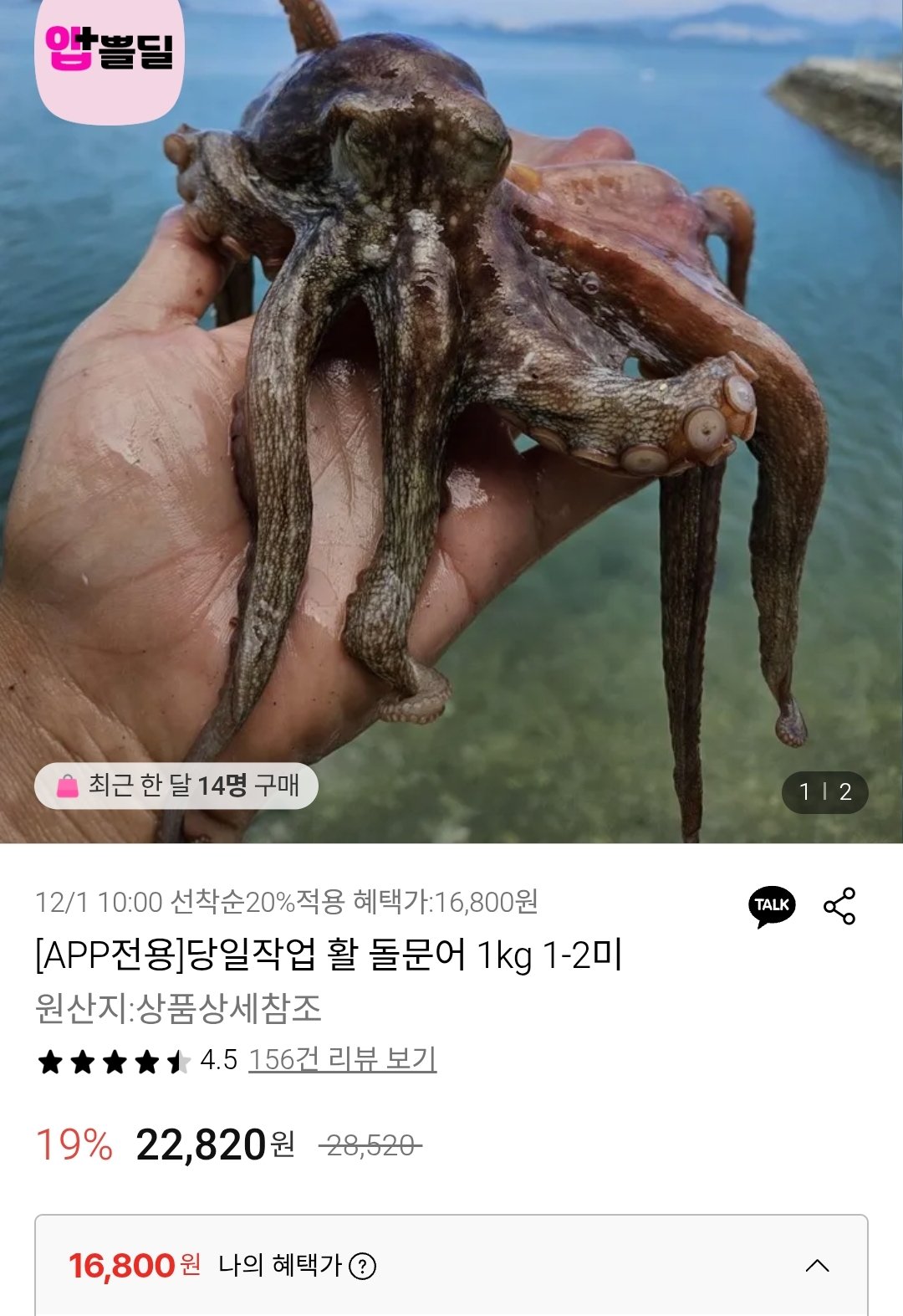 Screenshot_2025-12-01-10-09-50-925_com.kakao.talk-edit.jpg [롯데온] 활 돌문어 1kg 1~2미 (16,800원) (무료)