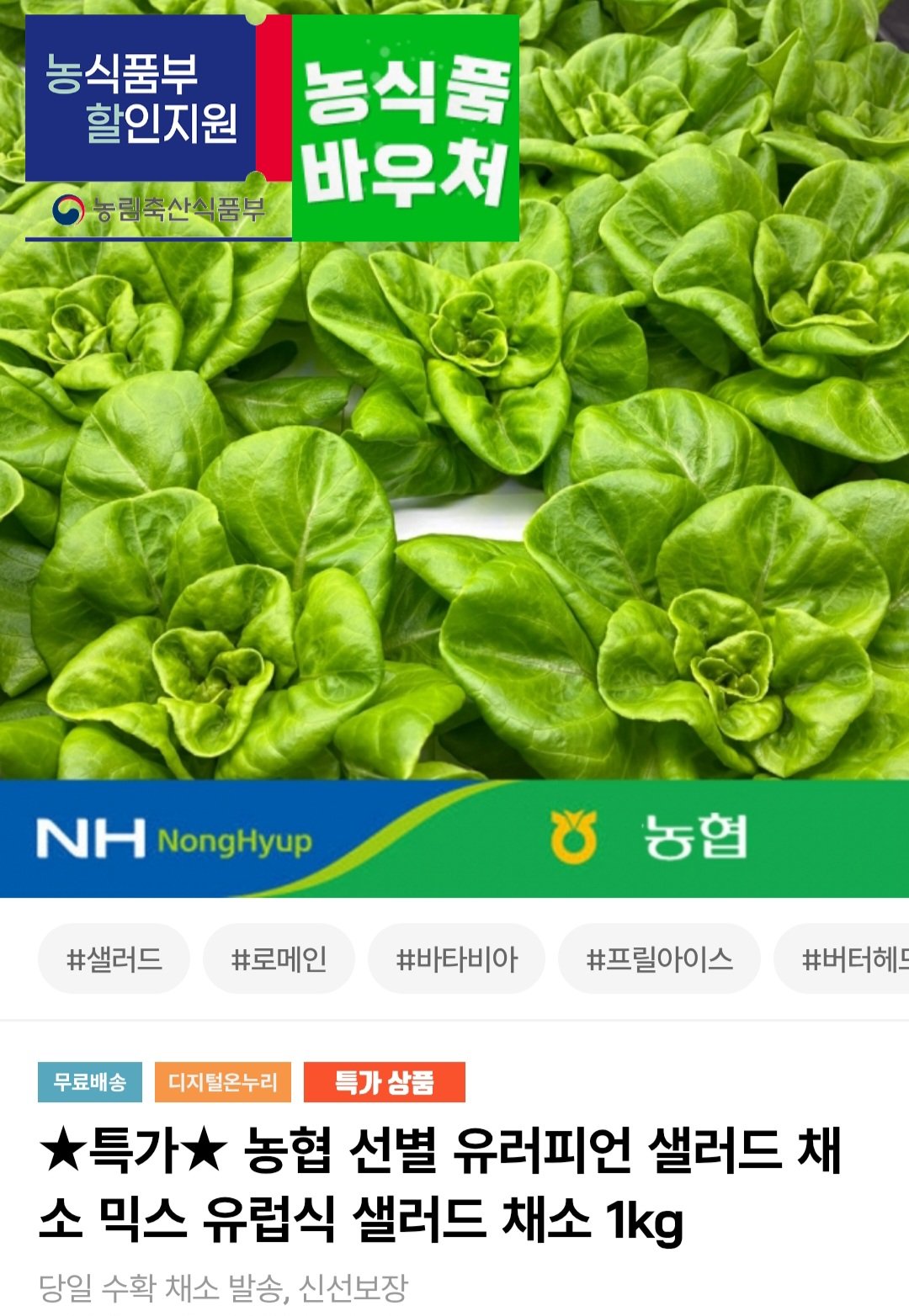 [인더마켓] 유러피언 샐러드 4종 혼합 1kg (7,420원) (무료)