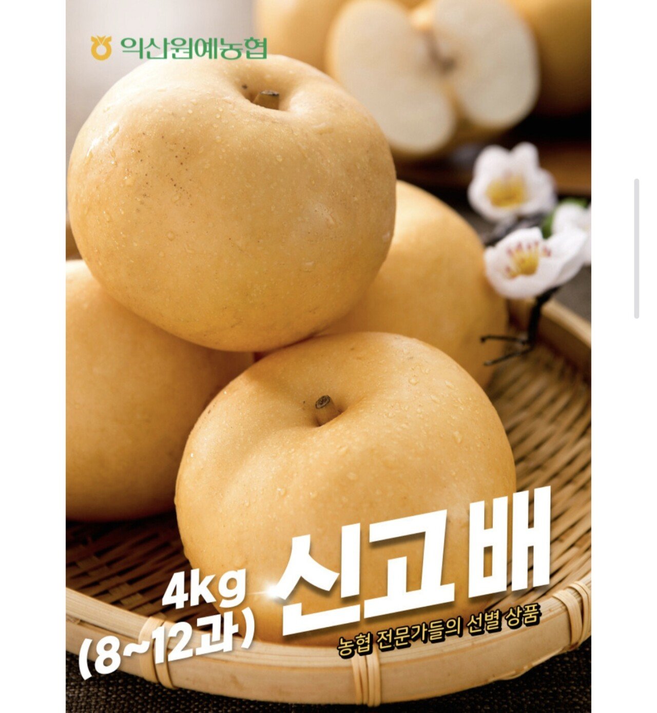 Screenshot_20251222_104257_Samsung Internet.jpg [농협몰] 신고 배 4kg (특상, 8~12과) (10,700원) (무료)