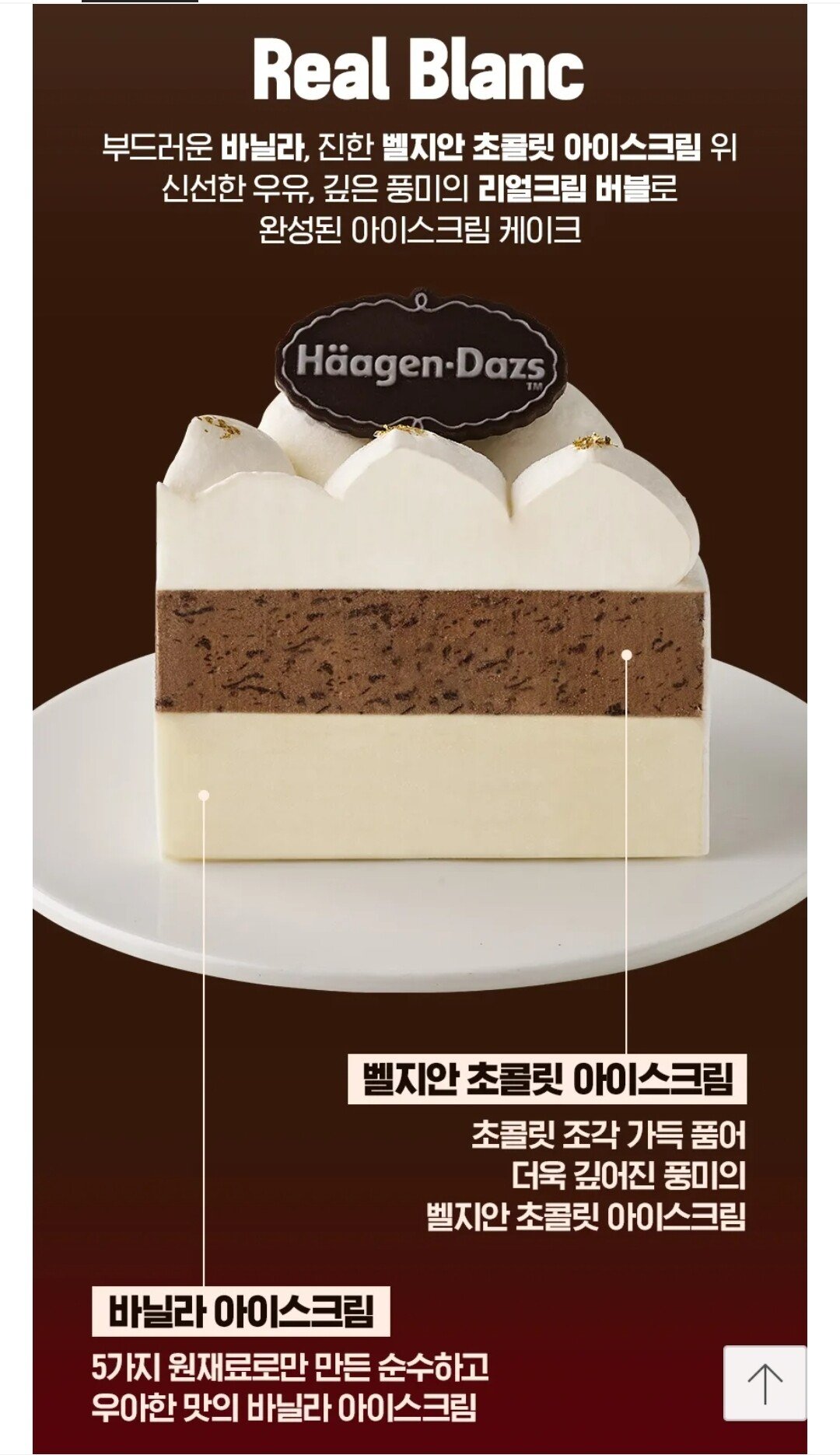 [카카오선물하기] 하겐다즈 프리미엄 수제 아이스크림 케이크 리얼블랑(바닐라+벨지안초코) (22,900원) (무료)