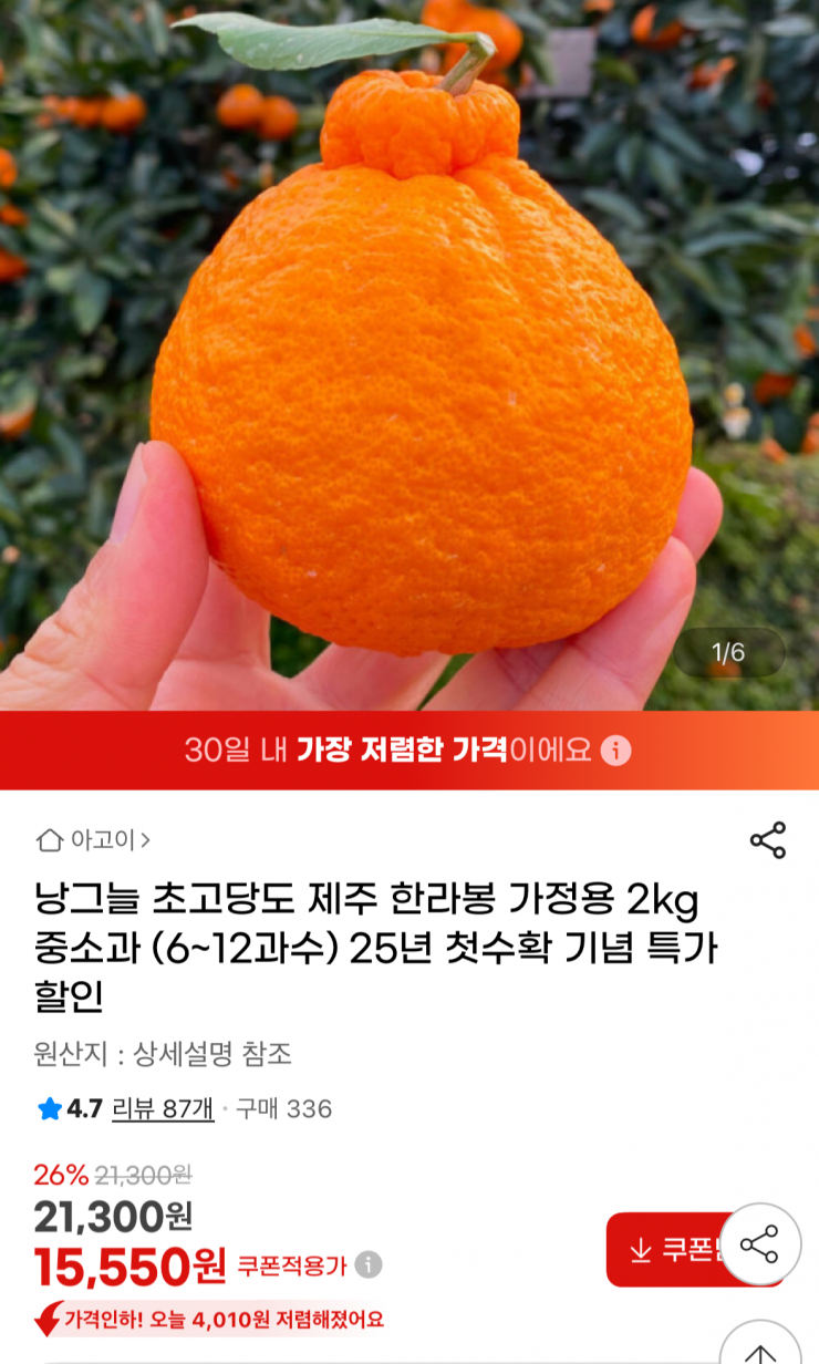 퀘이사존