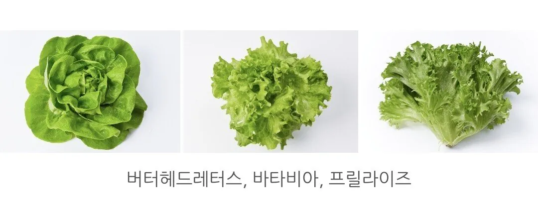 1767183141036-2.jpg [네이버] 유럽 샐러드 채소 야채 4~6종 1kg (7,910원) (무료)