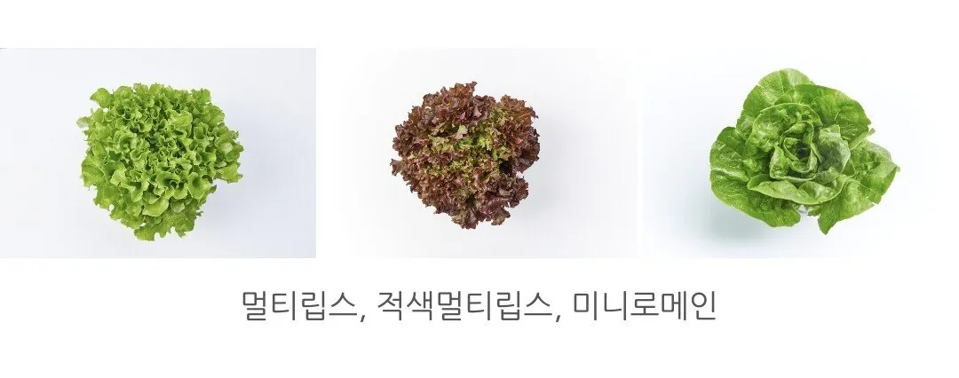 1767183141036-3.jpg [네이버] 유럽 샐러드 채소 야채 4~6종 1kg (7,910원) (무료)
