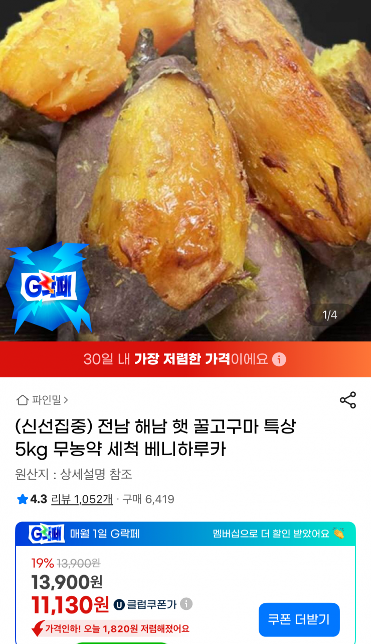 퀘이사존