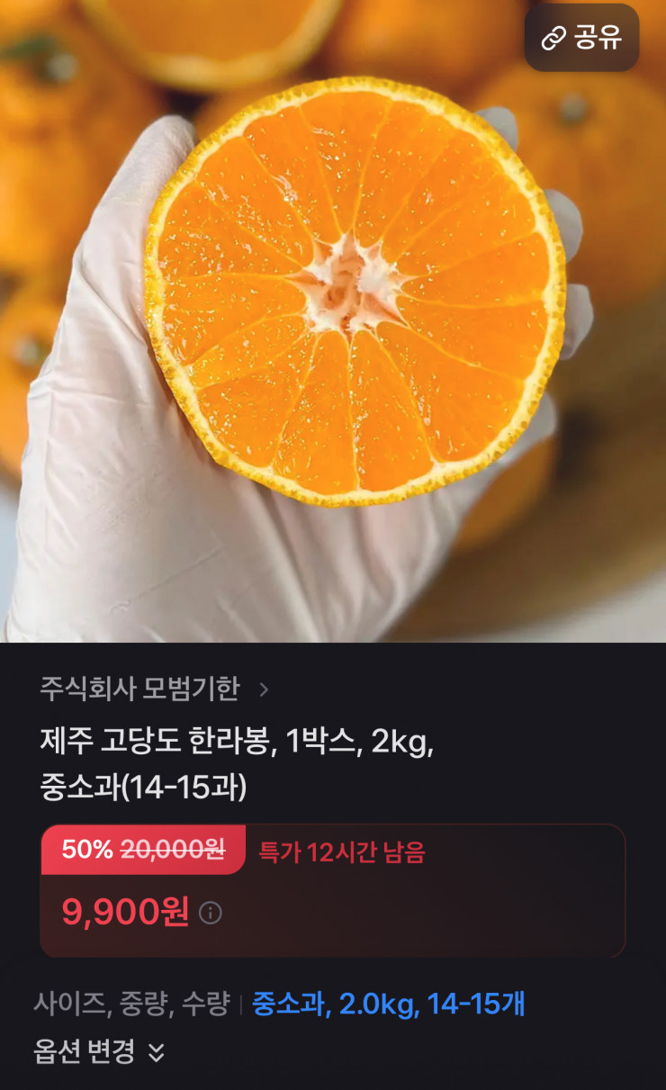 퀘이사존
