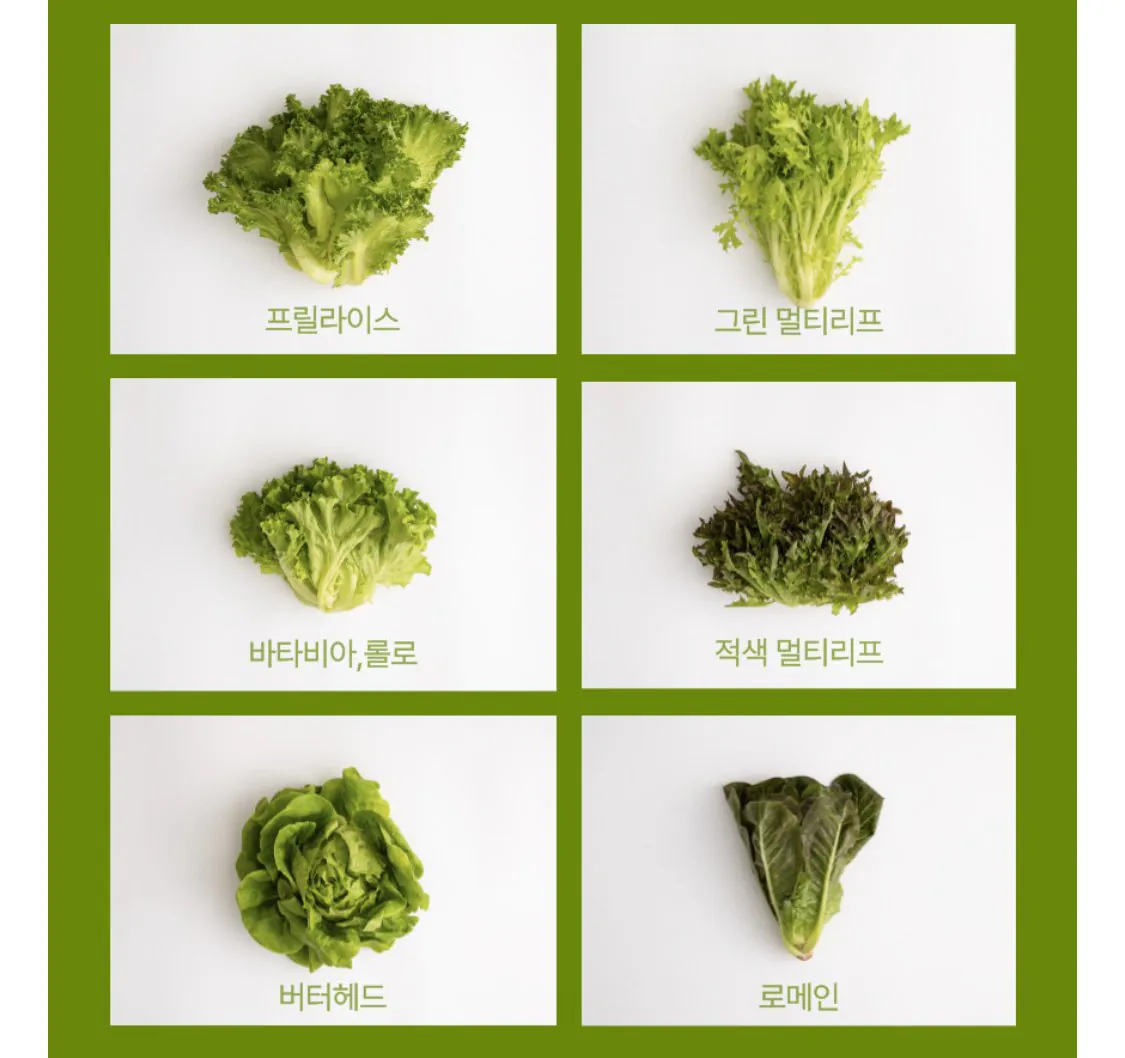 IMG_6677.jpeg [네이버] 유럽 샐러드 채소 야채 1.5kg (10,900원) (무료)