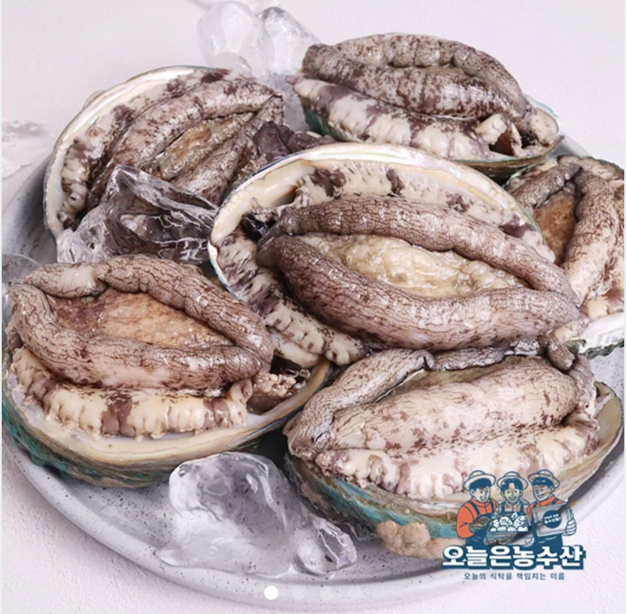 [남도장터] 활전복 1kg 9미 (19,920원) (무료)