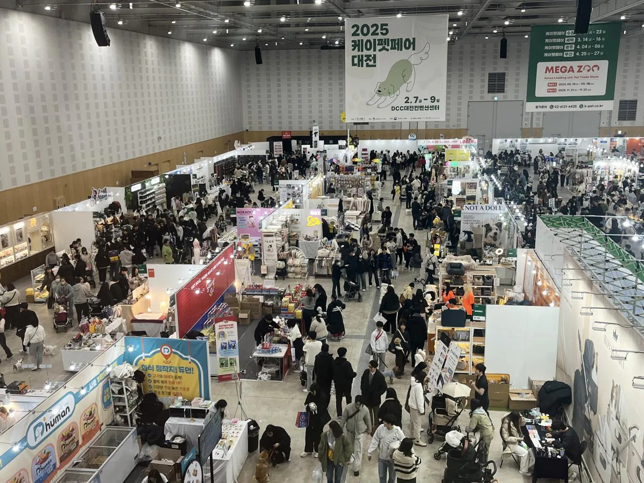 76651.jpg [케이펫페어] 대전 케이펫페어 입장권 무료 (무료) (무료)