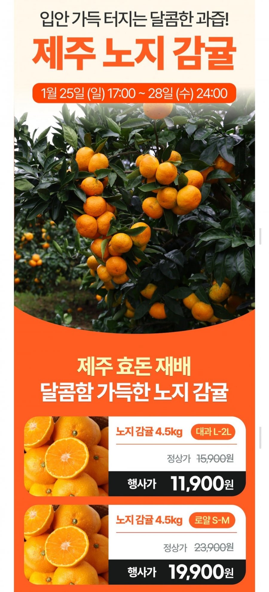20260125175903_WUmAZXvhv6.jpg