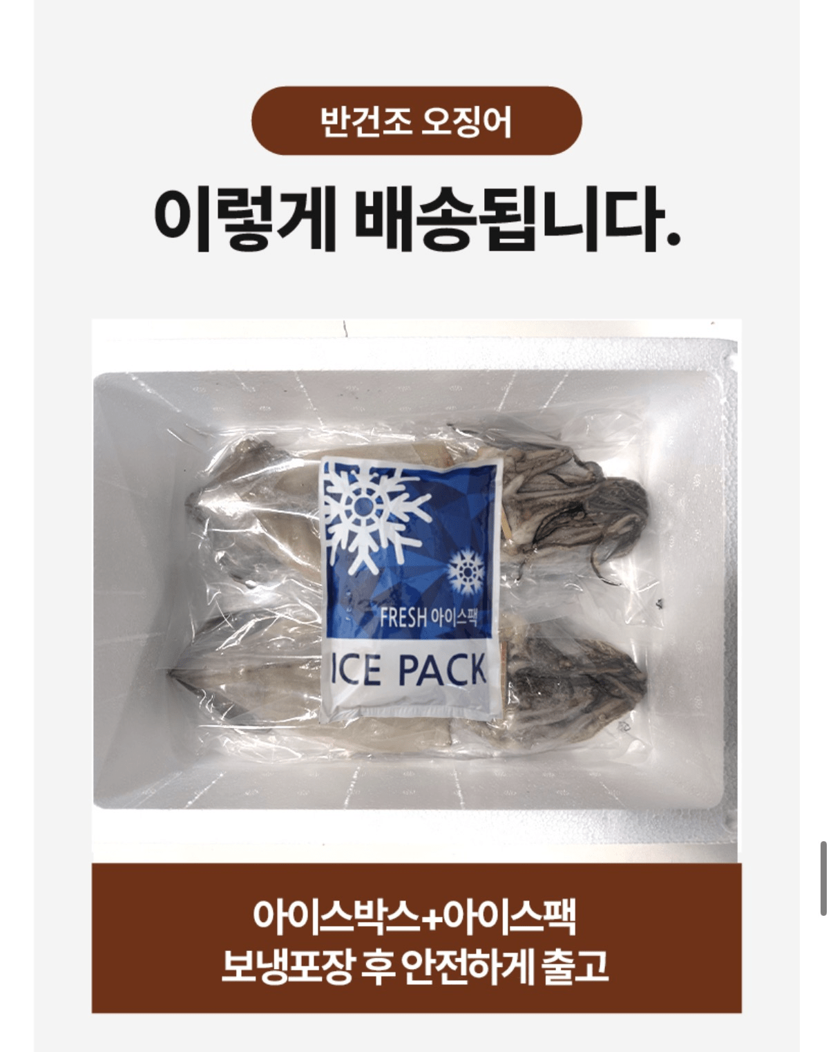 image.png [Lotte On] 10 con mực bán khô Guryongpo, 500g (miễn phí vỉ nướng nhỏ khi mua 2) (14.410 KRW) (miễn phí vận chuyển)