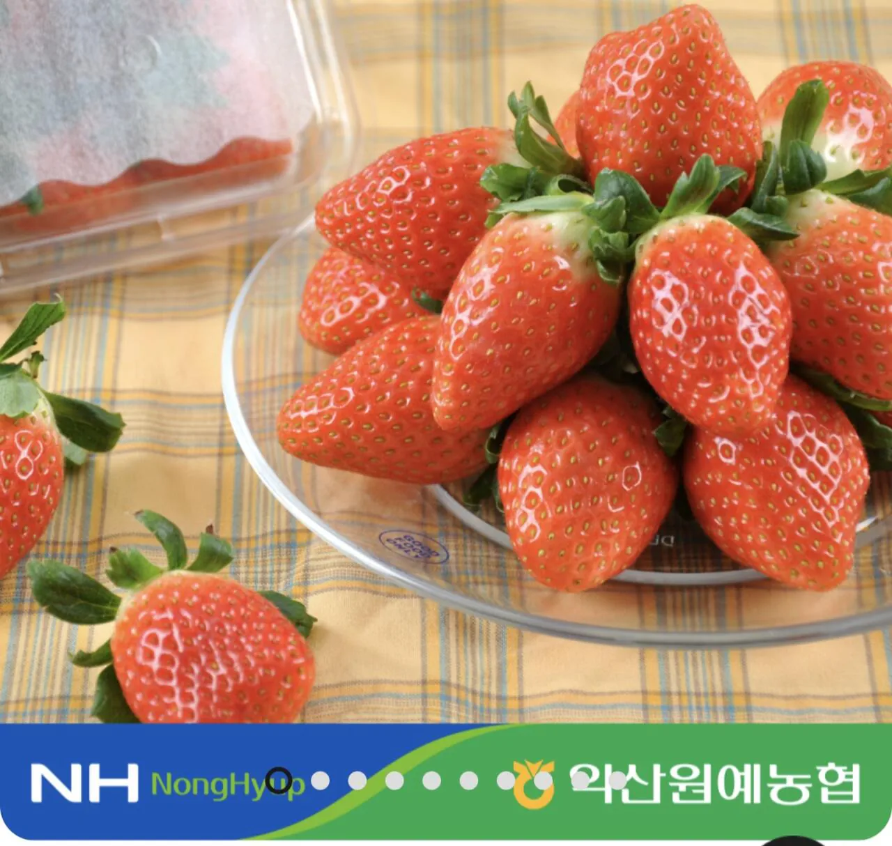 1769390226029.jpg [Gia súc Jeonbuk Thị trường] 1kg dâu tây đặc biệt cao cấp được chứng nhận Topmaru GAP (19.920 KRW) (miễn phí)