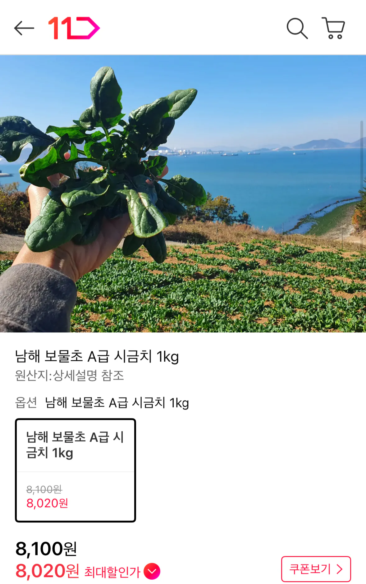 1769430370578.png [11th Street] Namhae Treasure Grass Hạng A Rau bina 1kg (8.020 won) (Miễn phí)