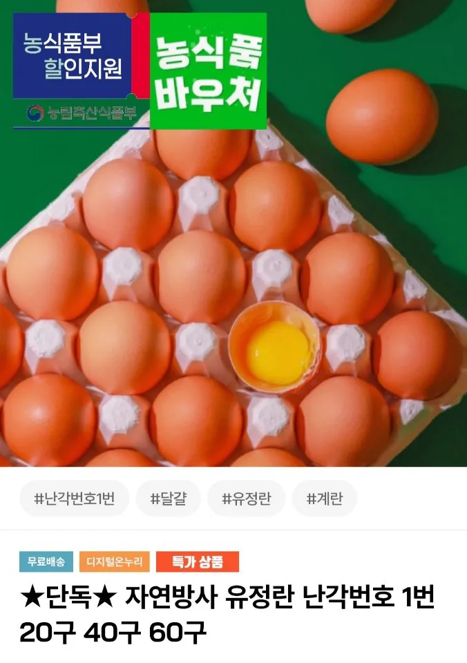 [Trên thị trường] Vỏ trứng số 1, 60 quả trứng được thụ tinh tự nhiên (20.930 won) (miễn phí)