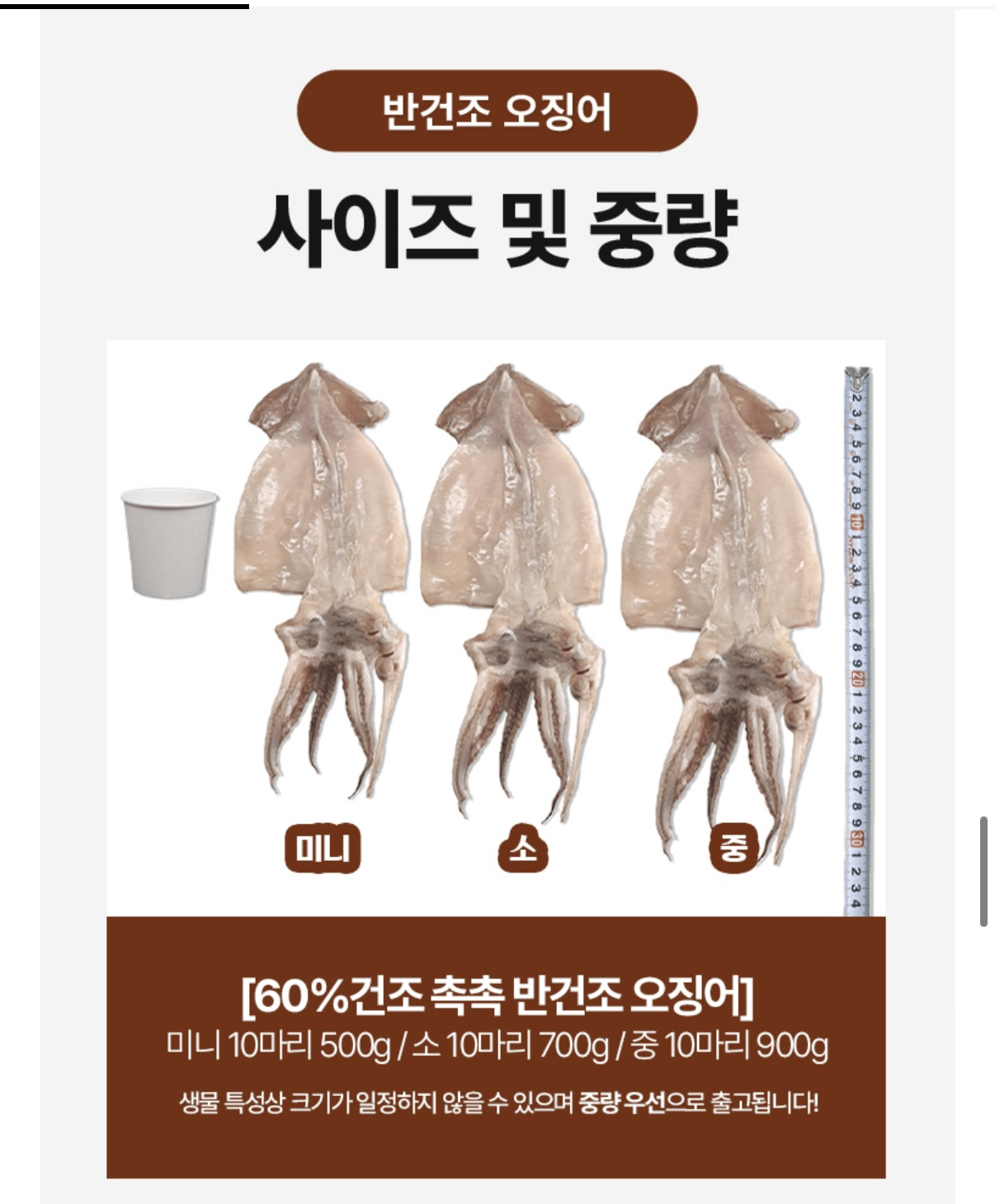 image.png [G Market] Mực nhồi bán khô Guryongpo 10 miếng 700g (16.370 won) (miễn phí)