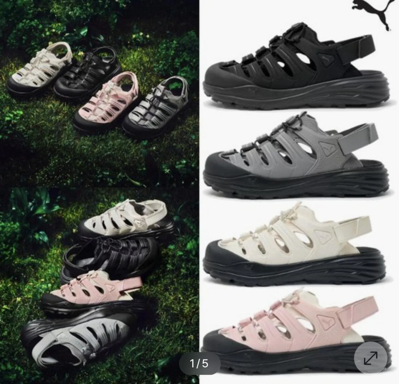 1000006357.jpg [GS Shop] Puma Common Hipnotic Dép Ventra (26.800 KRW) (Miễn phí)
