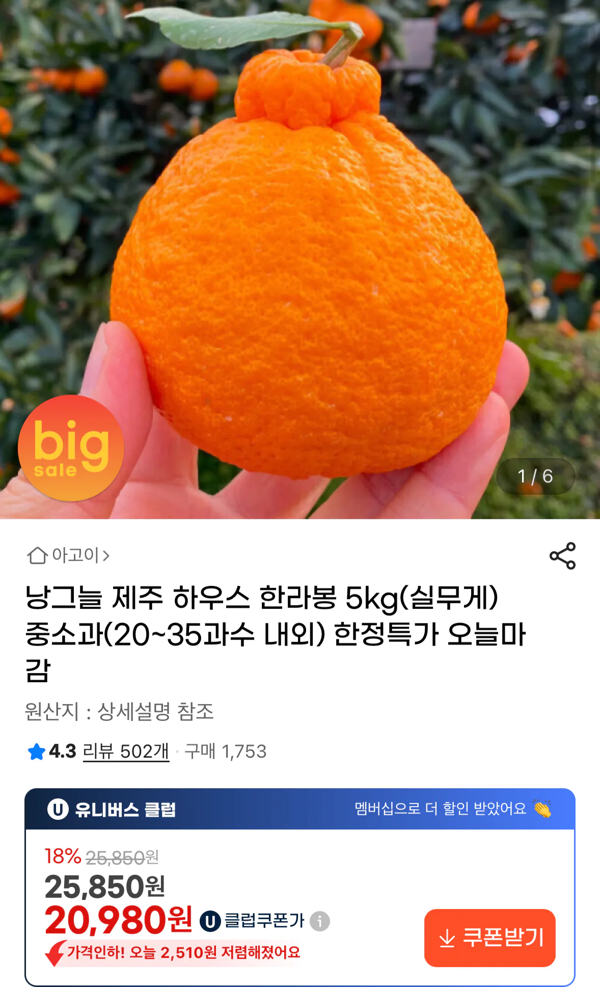 1770675788017.png [G Market] Jeju House Hallabong 5kg (20.980 KRW) (Miễn phí)