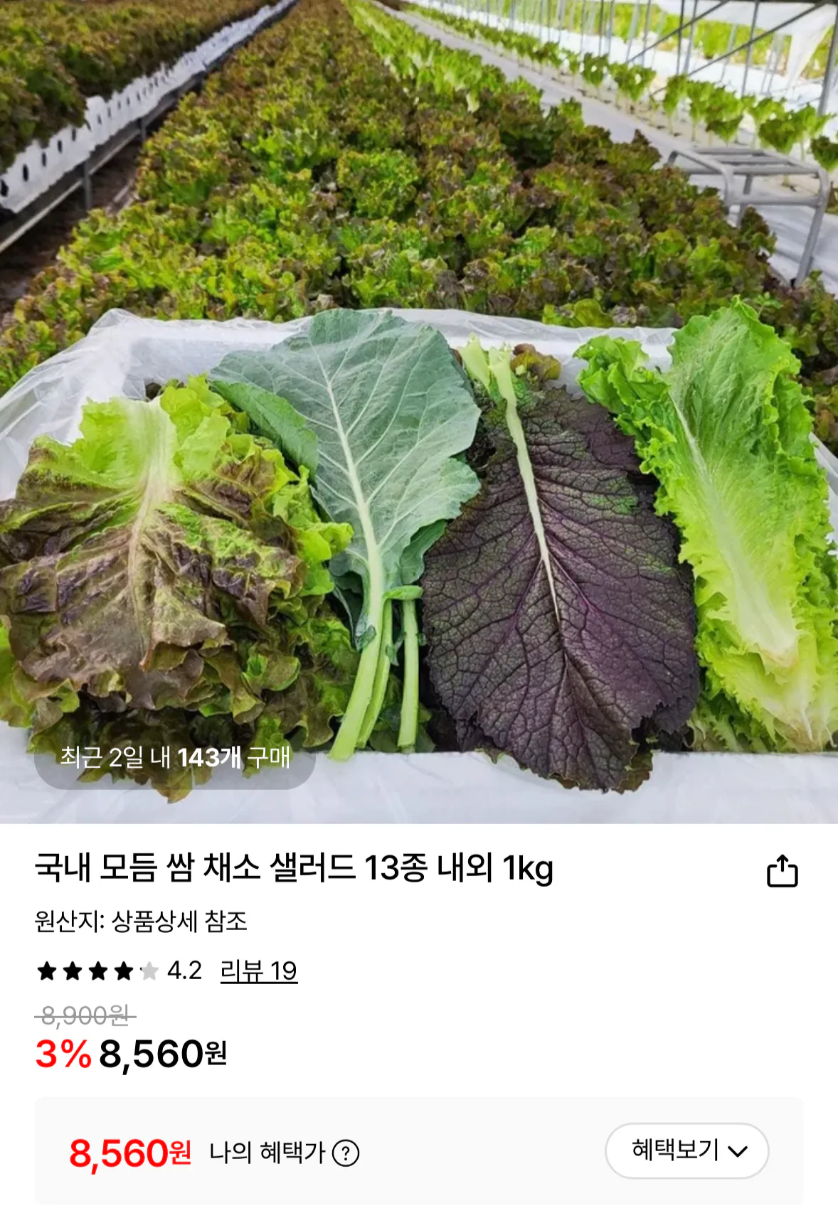 1771070536659.png [Lotte On] Rau Ssam nội địa 1kg (8.560 KRW) (Miễn phí)