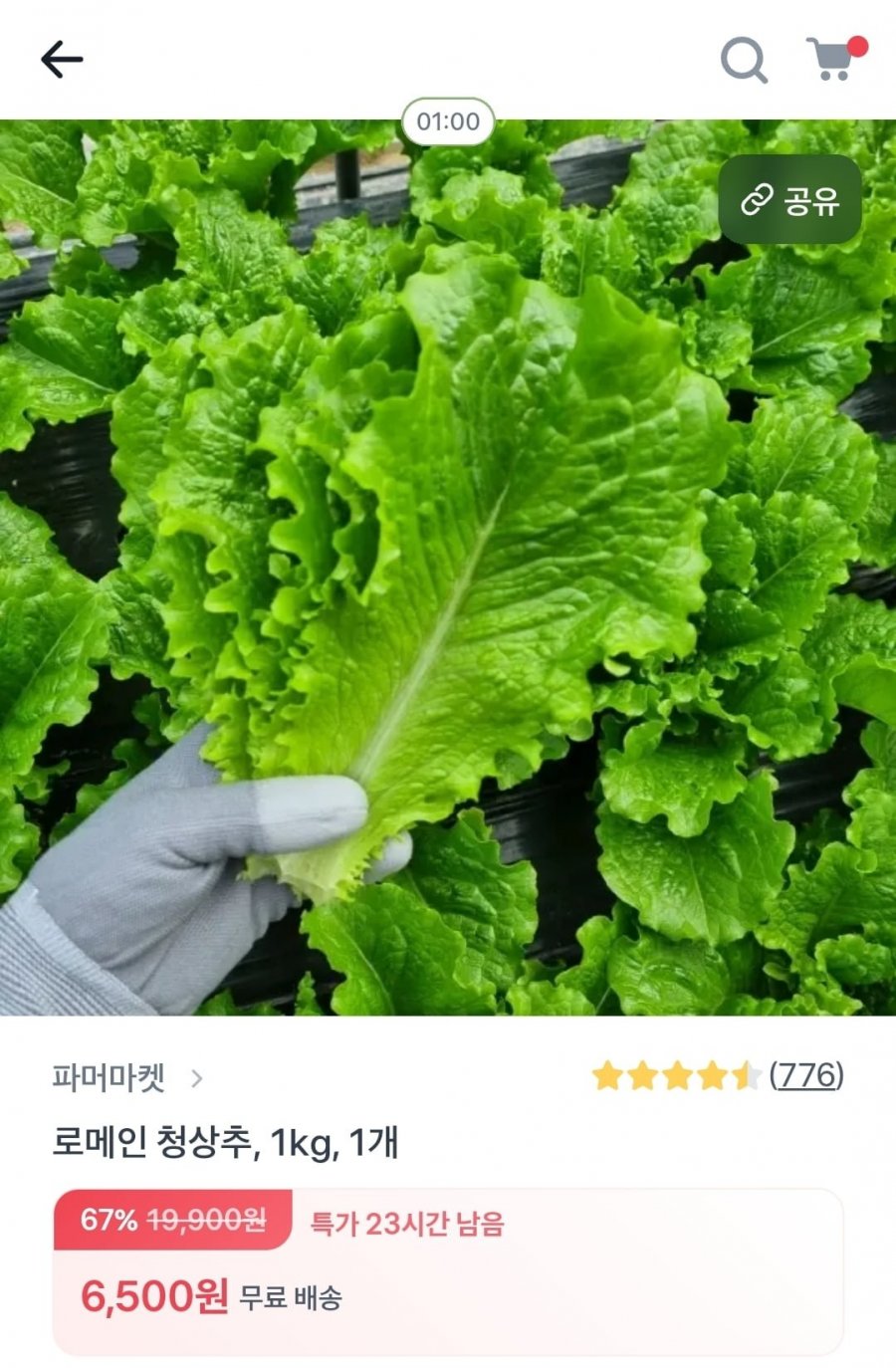 20260220000836_VMLq2RVYOd.jpg