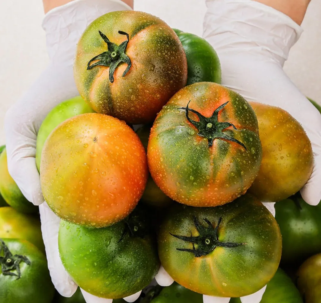 Screenshot_20260223_112554_Chrome.jpg [Đường 11] Cà chua Busan Daejeo 2,5kg (13.950 won) (Miễn phí)