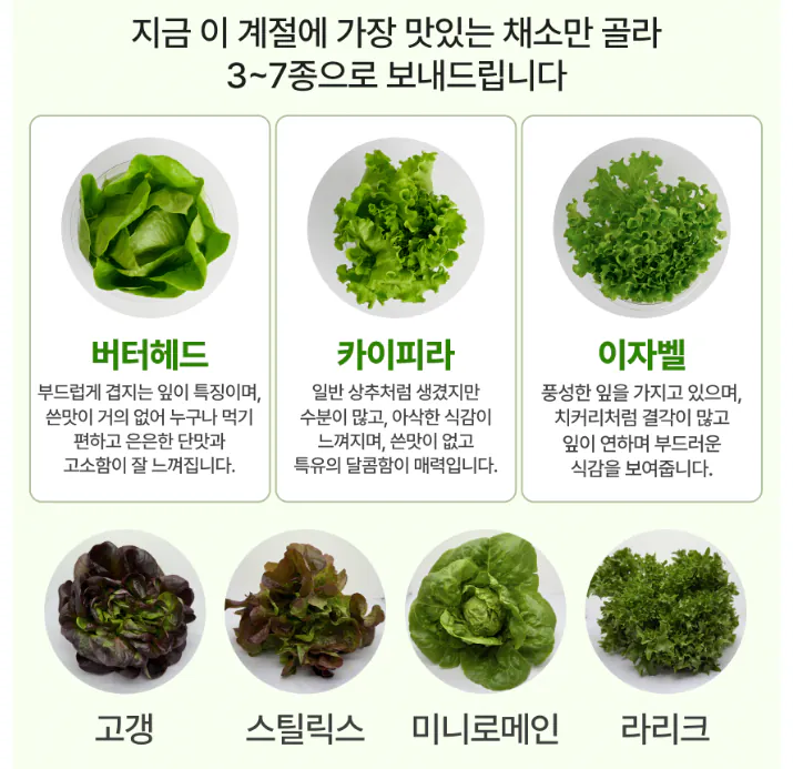 2.png [Ngôi nhà ngày nay] 1kg rau xà lách châu Âu không dùng thuốc trừ sâu (8.010 KRW) (miễn phí)