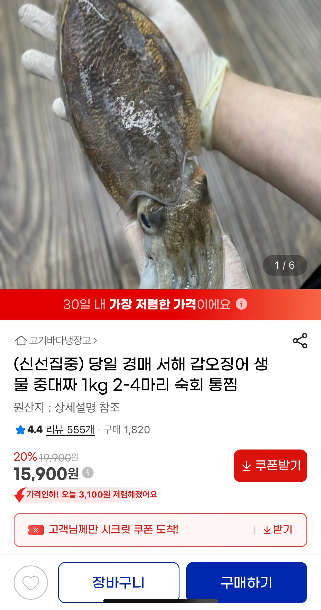 [G Market] Mực nang biển Tây 1kg (15.900 won) (miễn phí)