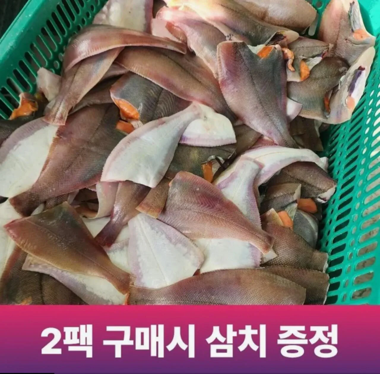 1000003090.jpg [Lotte On] Chuẩn bị sinh vật nội địa ở Bờ Đông 550g (11.310 KRW) (Miễn phí)