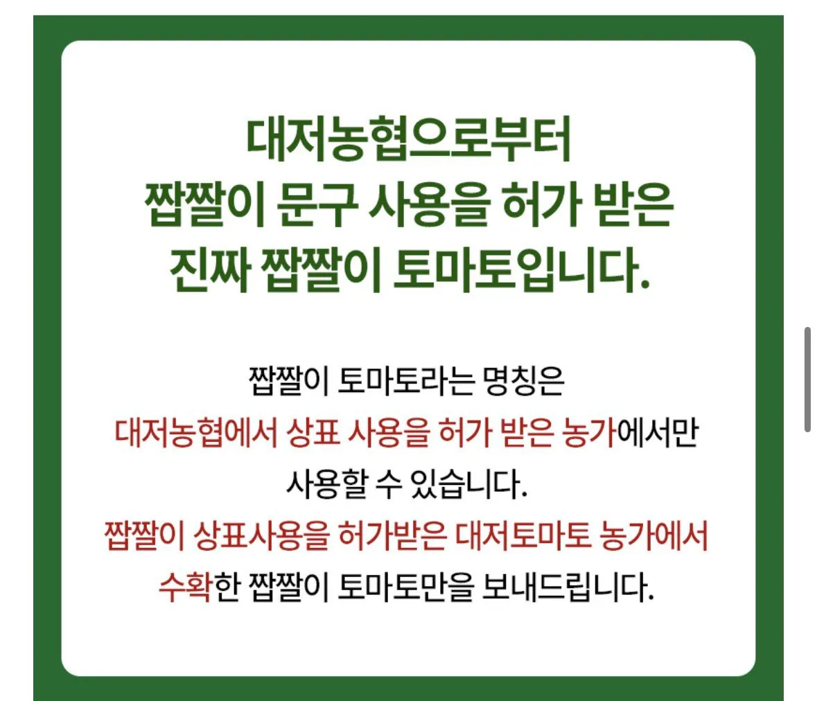 [Lotte On] Cà chua Daejeo mặn Busan được chứng nhận xác thực 2,5kg (Kakao 21.440) (Miễn phí)