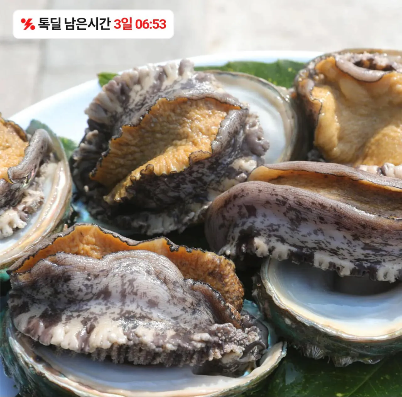 1000030631.jpg [Kakao] Bào ngư sống Wando 1kg 6-7 miếng (21.550 won) (miễn phí)