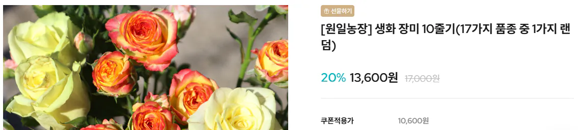 image.png [Onchungbuk] 10 bông hồng ngẫu nhiên (10.600 won) (miễn phí)