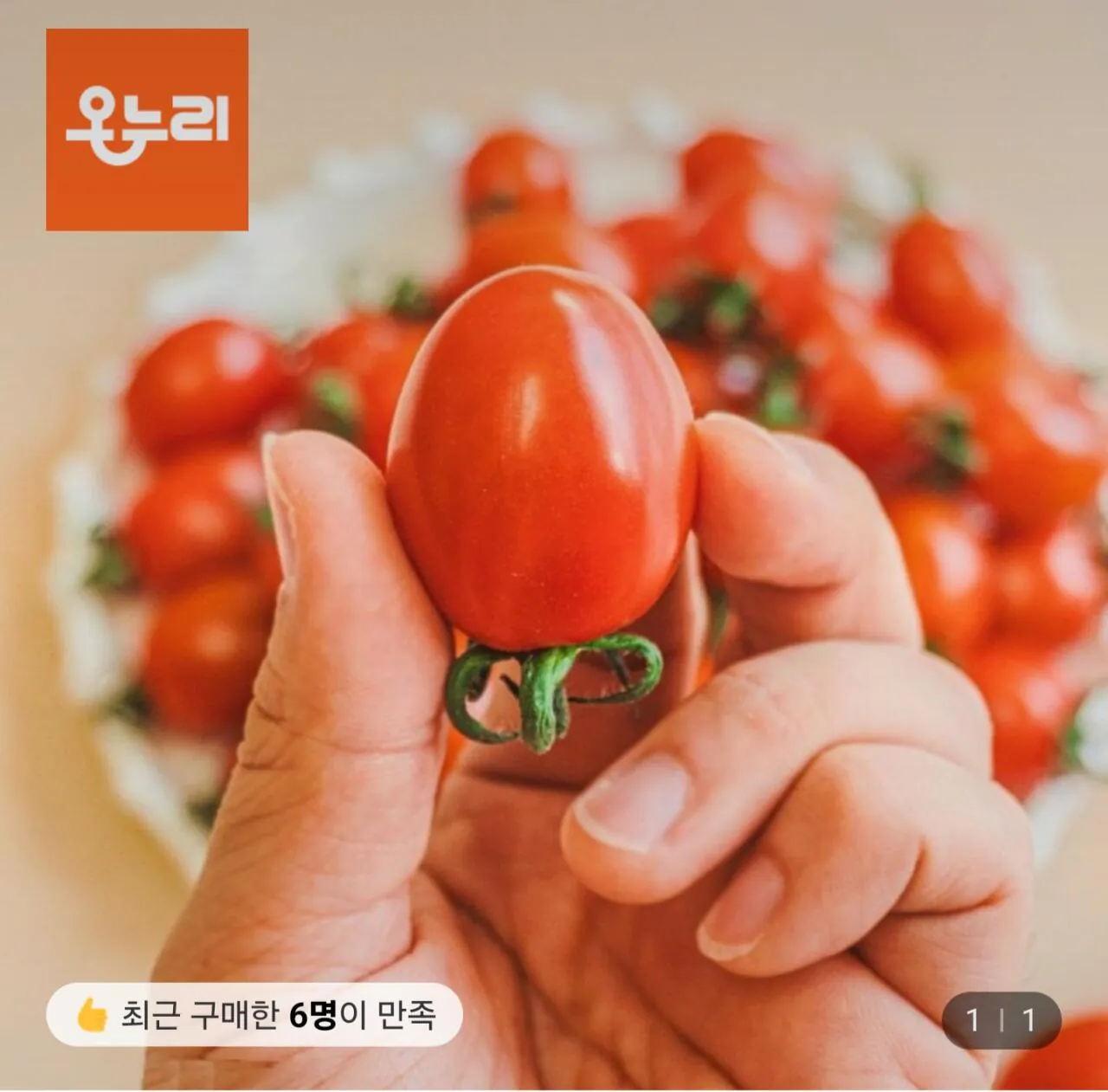 1000046501.jpg [Lotte On] Táo tàu cà chua bi 5kg Mini No. 4-5 (18.910 KRW) (Miễn phí)