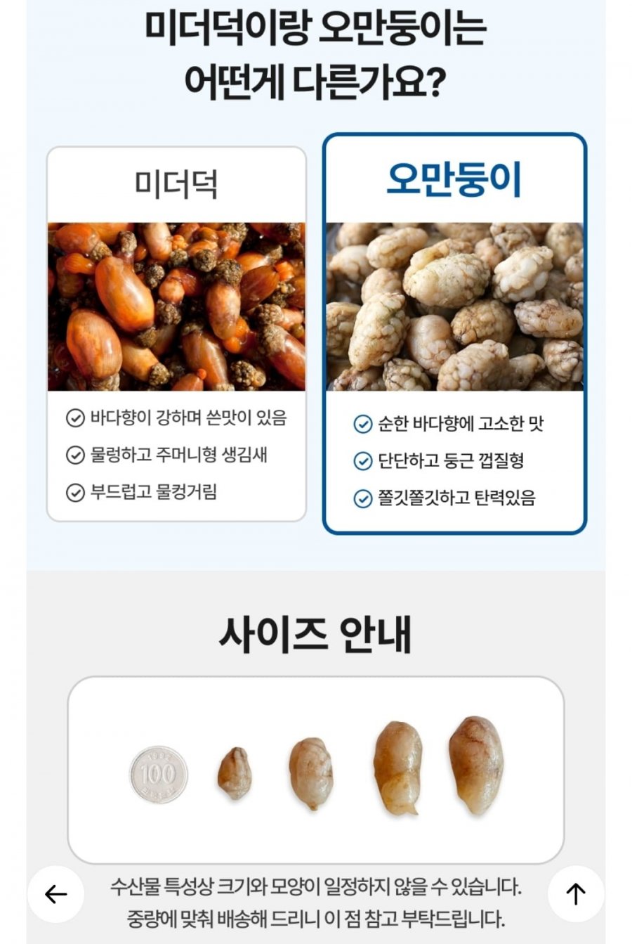 20260317112555_rjoQq3bYwY.jpg