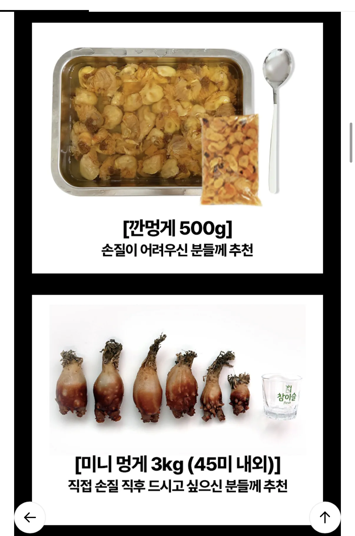 image.png [Lotte On] Mực biển sống trong nước 500g (11.910 won) (miễn phí vận chuyển)