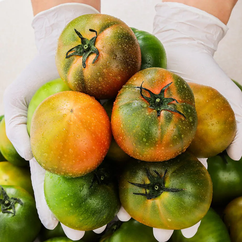 6773848328_225900631.jpg [Đường 11] Cà chua Busan Daejeo 2,5kg (11.970 won) (Miễn phí)