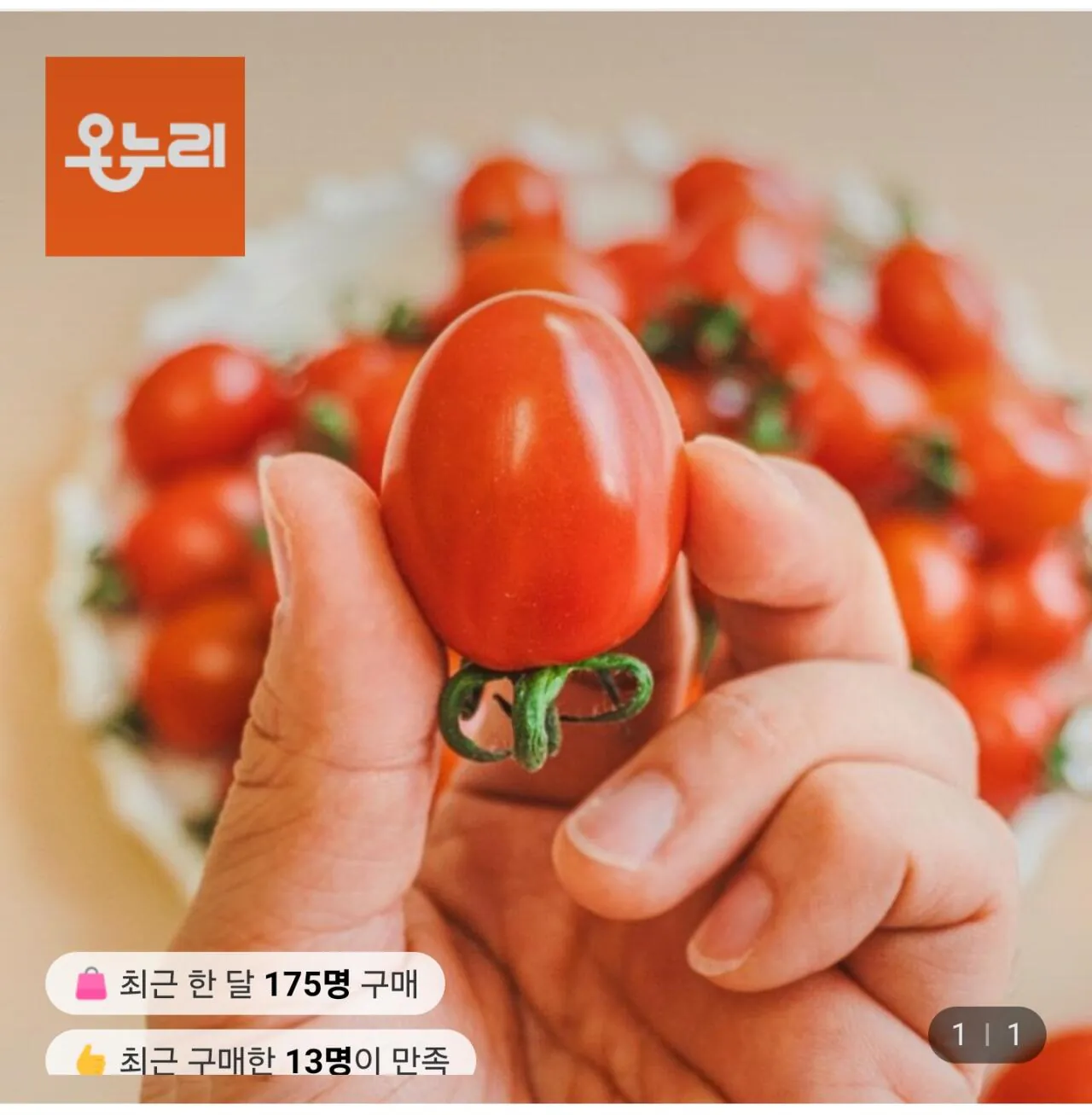 1000007625.jpg [Lotte On] Táo tàu cà chua bi 5kg Mini No. 4-5 (18.910 won) (Miễn phí)