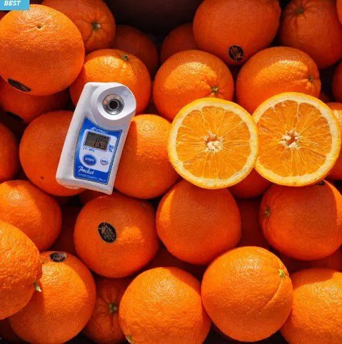 4.jpg [네이버] 13~15브릭스 미국 네이블 블랙라벨 오렌지 팬시 특대과 2.2kg (7,900원) (3,500원)