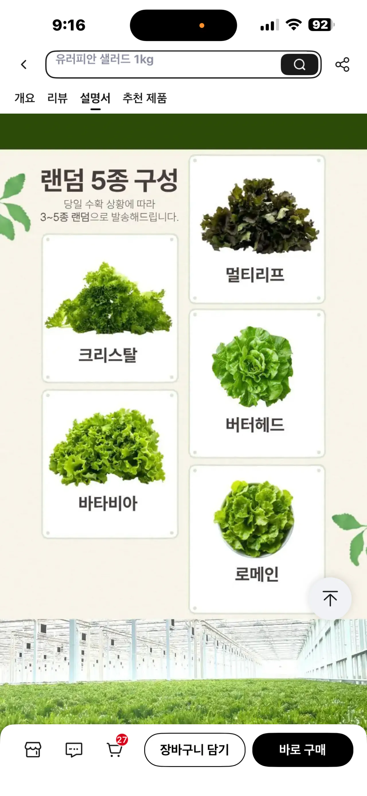 2.png [알리 코인딜] GAP인증 무농약 유러피안 모듬 채소 1kg 랜덤 3~5 종 (5,225원) (무료)