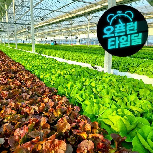 [G Market] Trực tiếp từ nhà sản xuất, gói rau củ Iksan Châu Âu 1kg (5.390 won) (miễn phí)