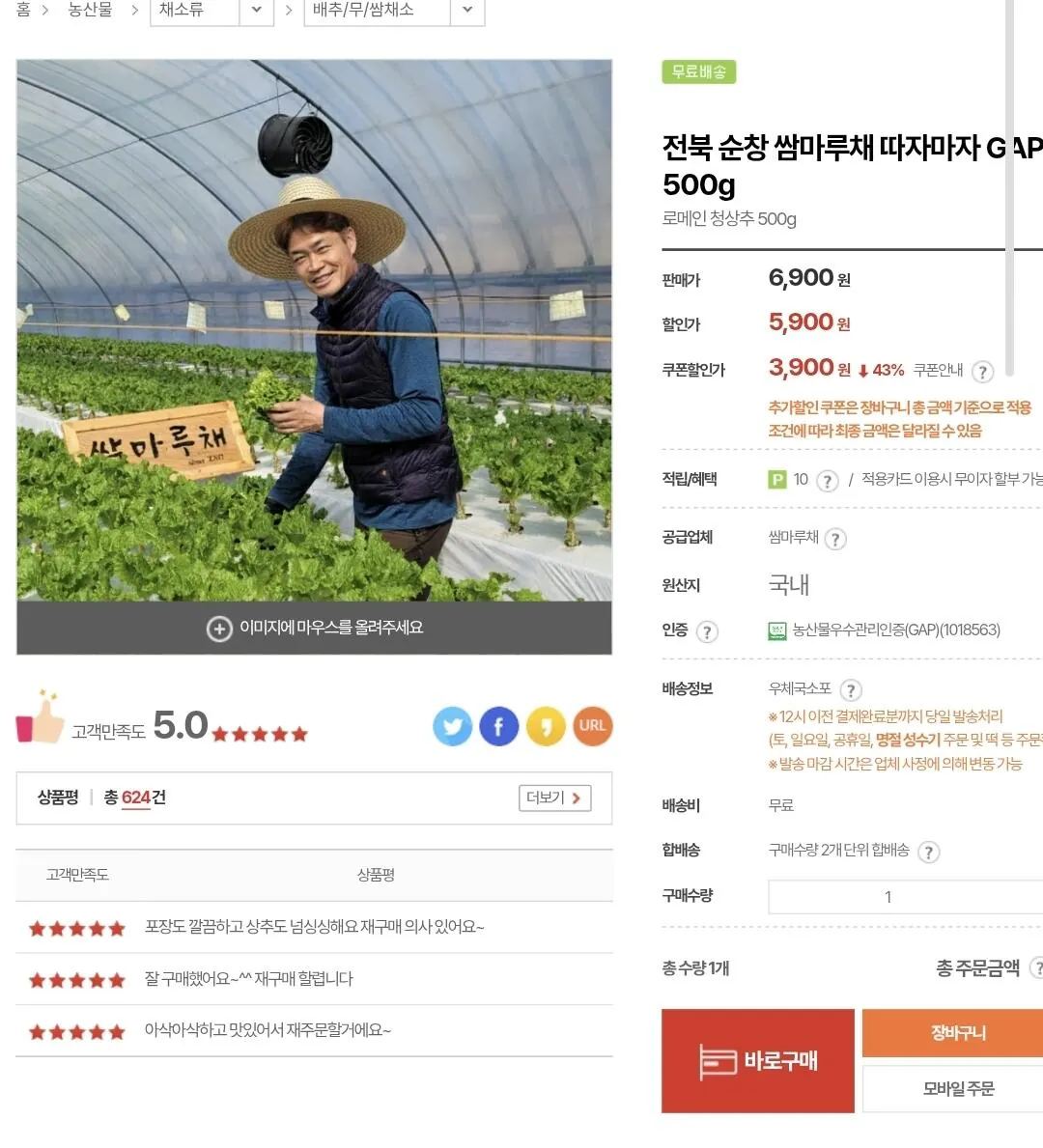 [우체국쇼핑] 전북 순창 로메인 청상추 500g (3,900원) (무료)