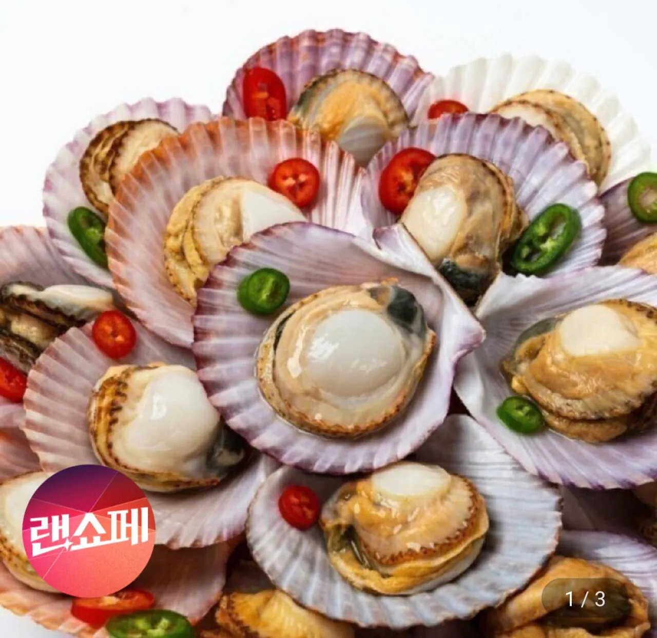 1000048289.jpg [지마켓] 홍가리비 5kg (삼카9,830원) (무료)