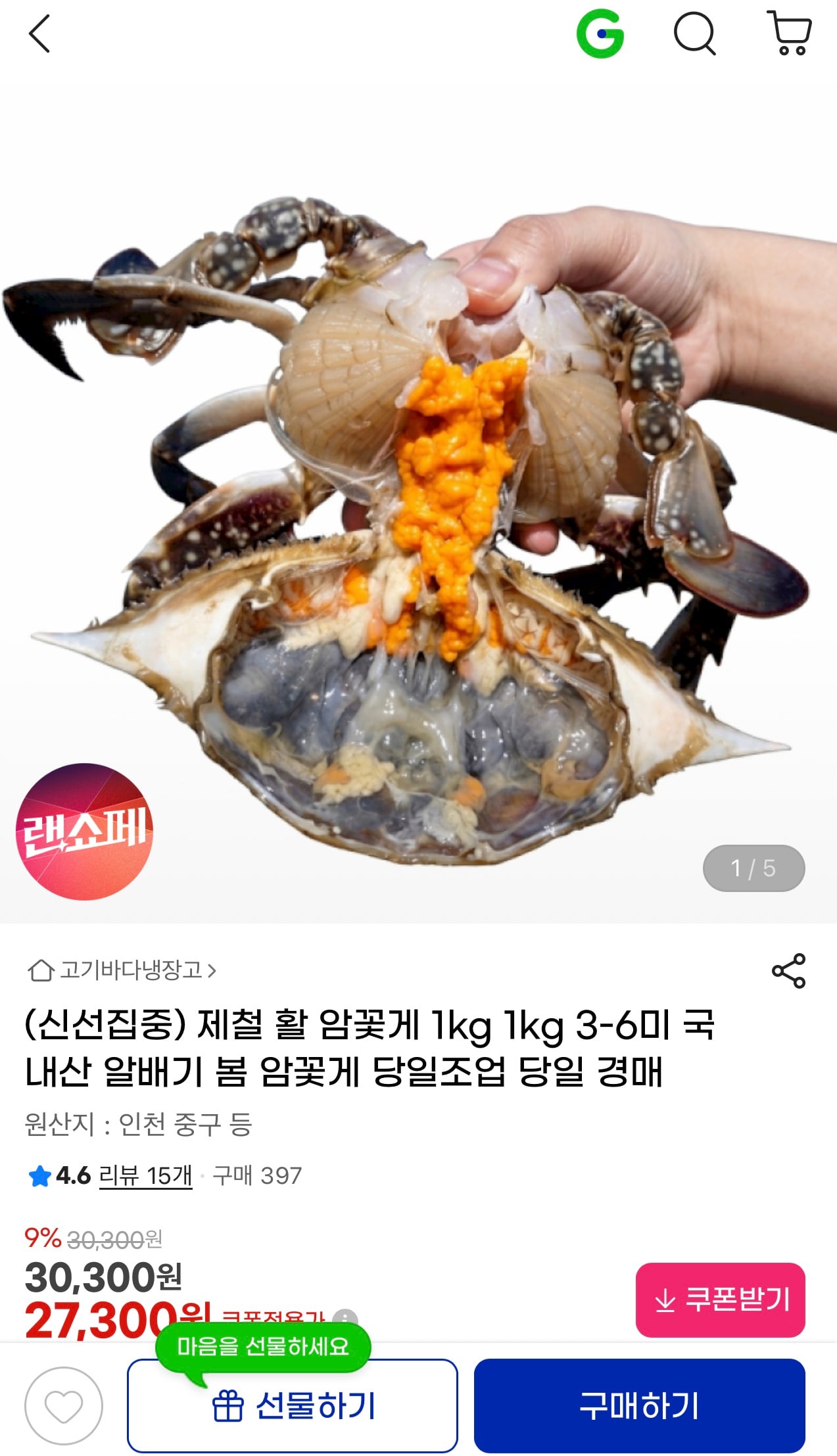 퀘이사존
