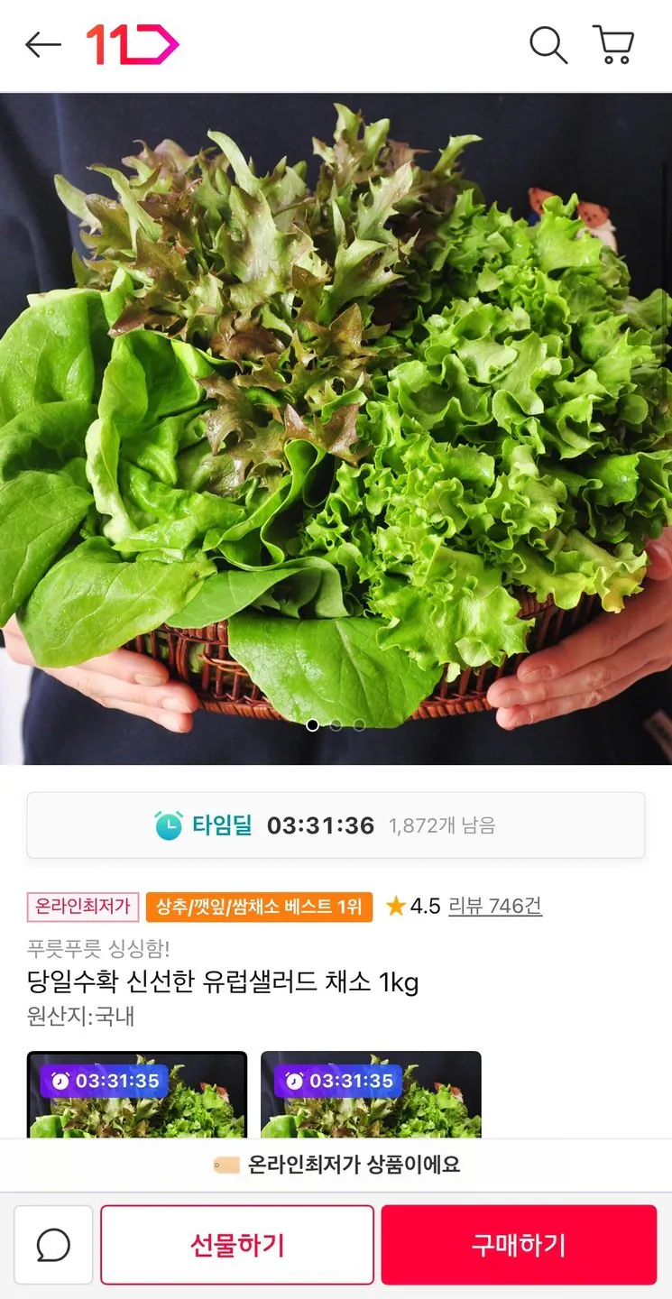 11325.jpg [11번가] 당일수확 신선한 유럽샐러드 채소 1kg (4,900원) (무료)