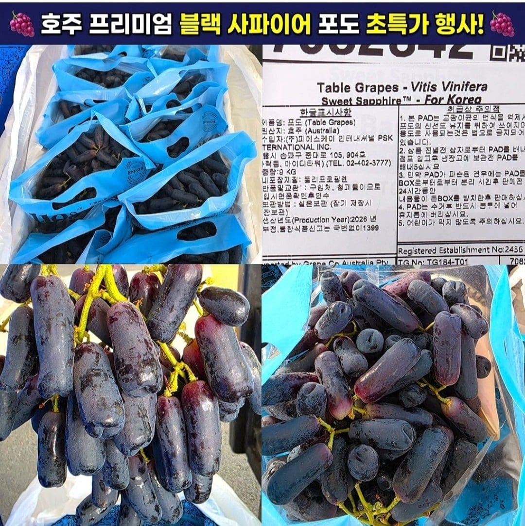퀘이사존
