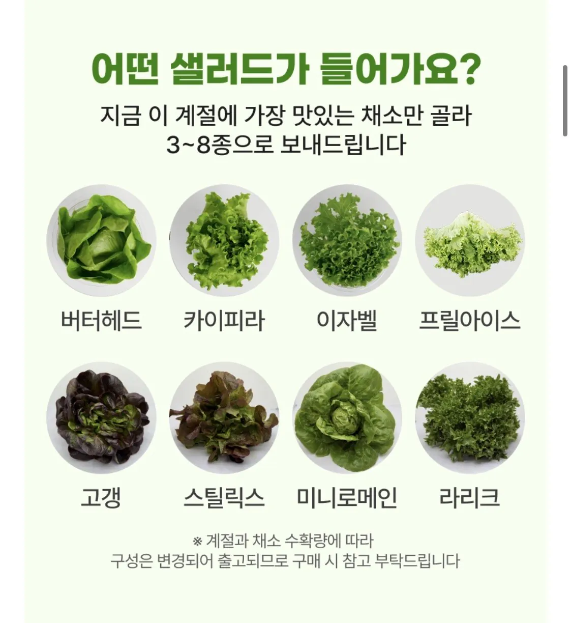 IMG_0030.jpeg [롯데온] 유러피언 샐러드채소 1kg (3~7종) (6,400원) (무료)