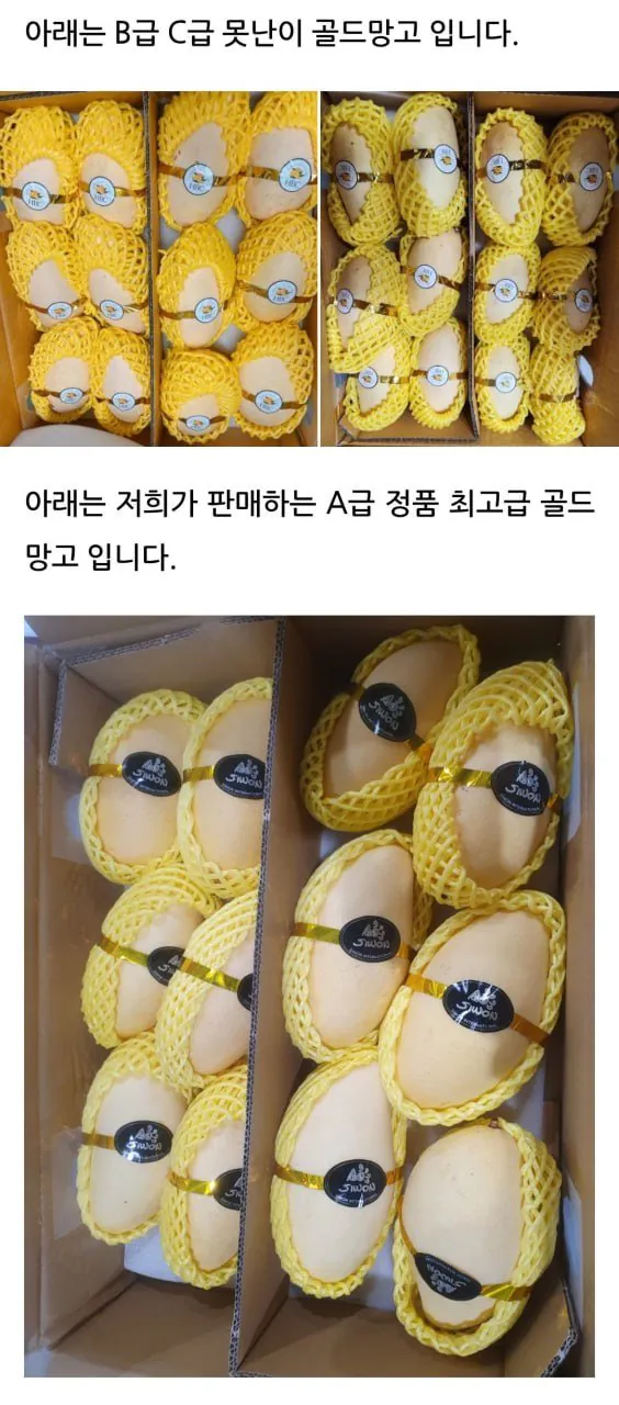 1000003360.jpg [네이버] 최고급 정품 태국 골드망고 페루 애플망고 5kg (10~12과) 특대과 (36,400원) (3,500원)