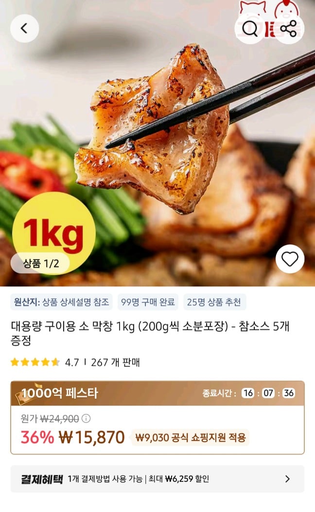 퀘이사존