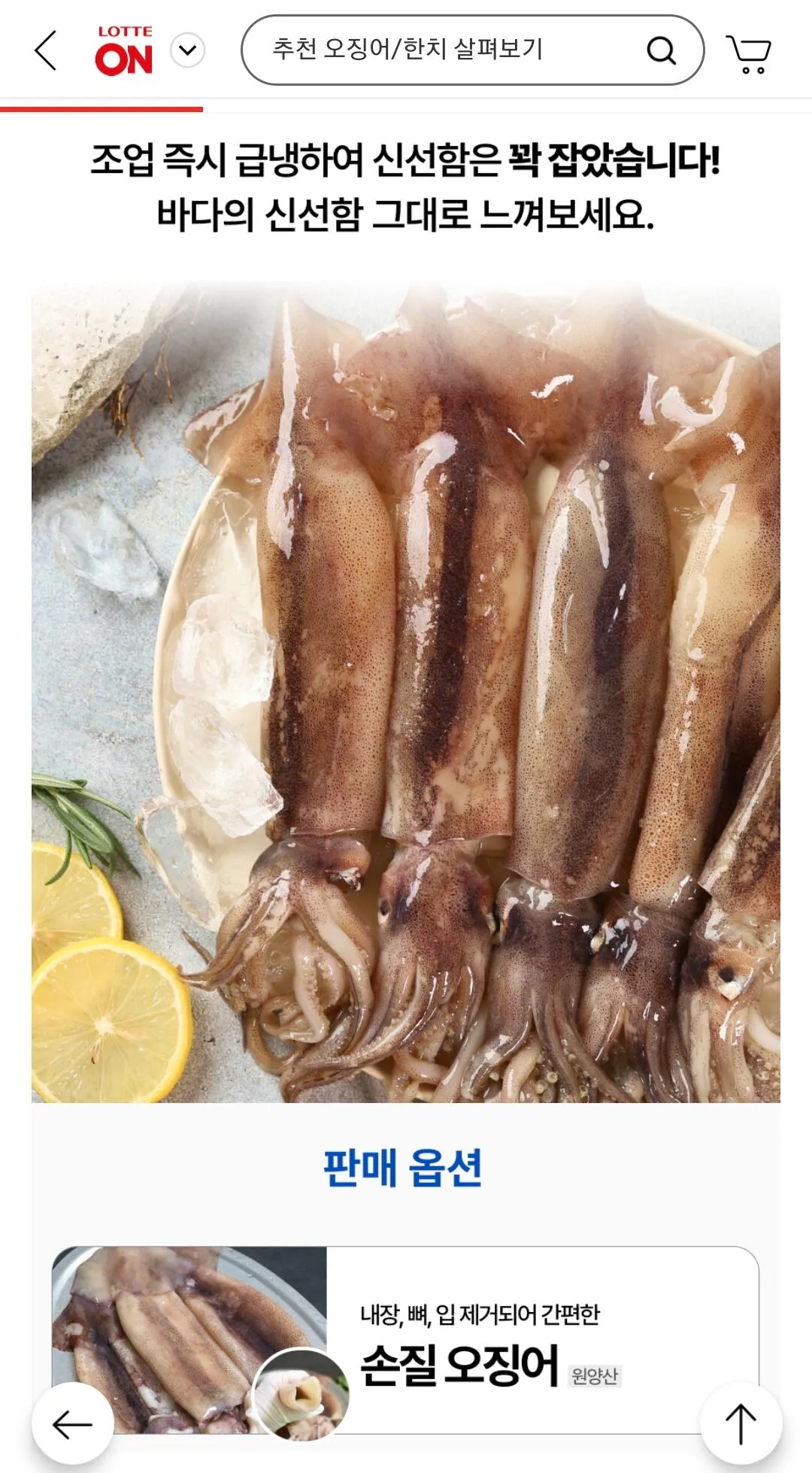 Screenshot_20260402-132725.jpg [롯데온] 손질 통오징어 10미 1.1kg 외 (15,990원) (무료)
